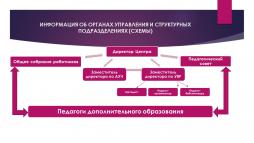 Схема "Информация об органах управления и структурных подразделениях"